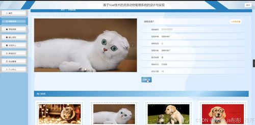 基于Vue與Flask的流浪動物管理系統(tǒng)的設(shè)計(jì)與實(shí)現(xiàn)