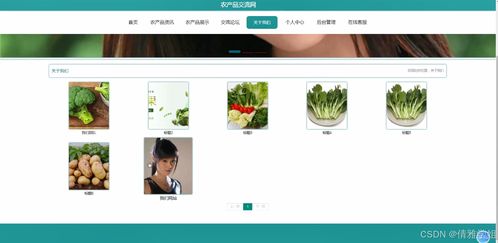 農(nóng)產(chǎn)品交流網(wǎng) 基于Java的計(jì)算機(jī)畢業(yè)設(shè)計(jì)全流程探索
